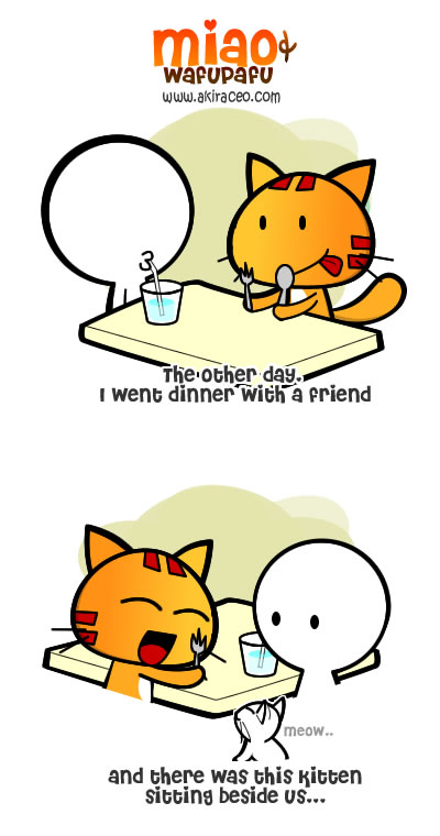 Cat Abuser