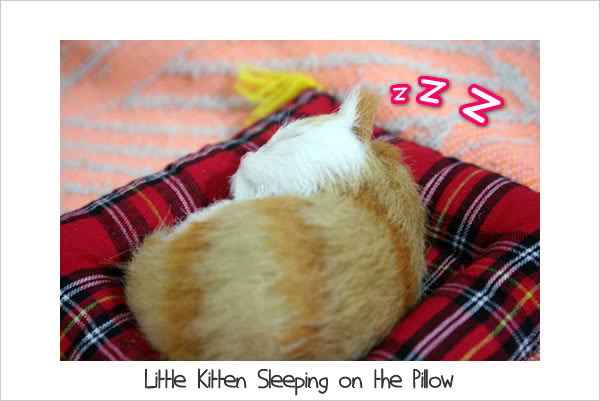 Cat Sleeping on a Pillow