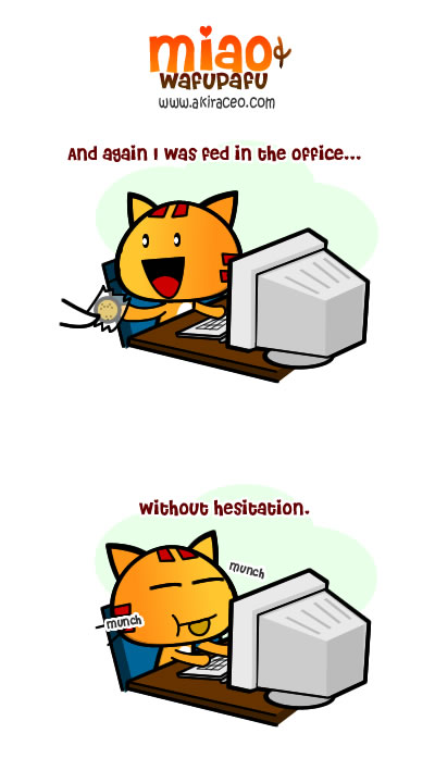 Miao eat Biscuit