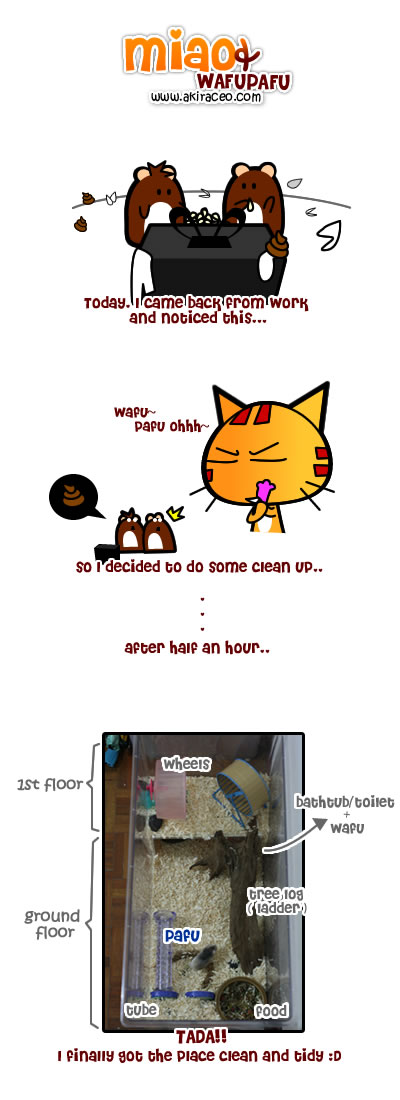 clean-up-1