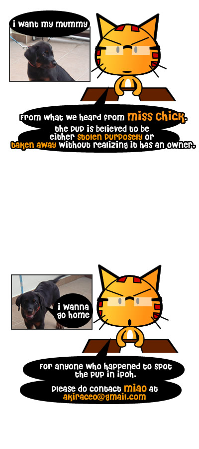 missing-dog-1