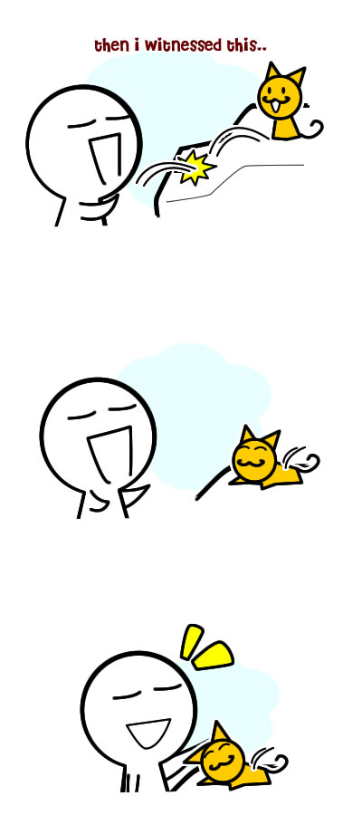 trained cat-1 trained cat-1