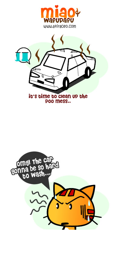 wash car